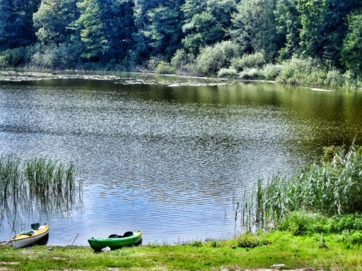 Czaplinek 2005