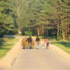 Mereczanka 2007