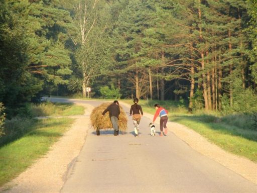 Mereczanka 2007