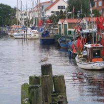 Meklemburgia 2011
