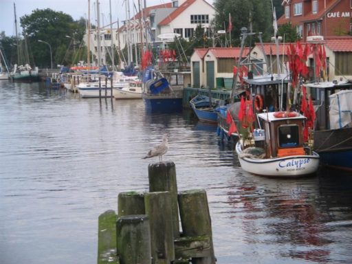 Meklemburgia 2011