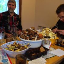 Grzybobranie 2013