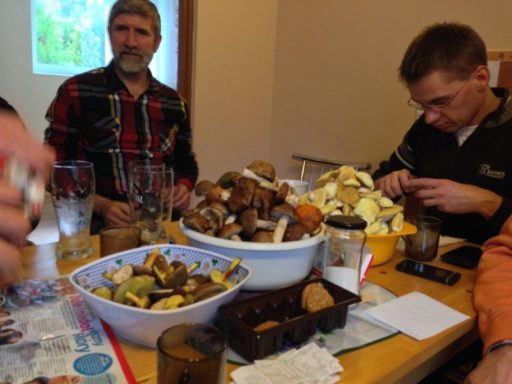 Grzybobranie 2013