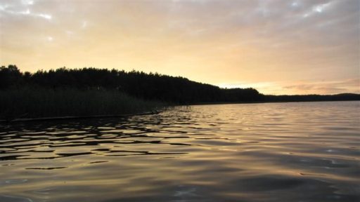 Piława 2011