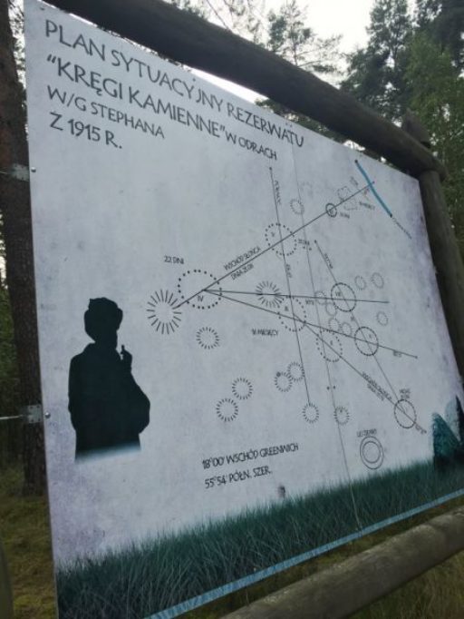 Grzybobranie 2015