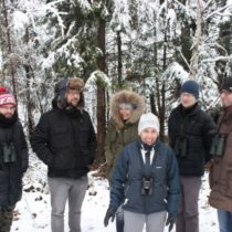 Białowieża 2016