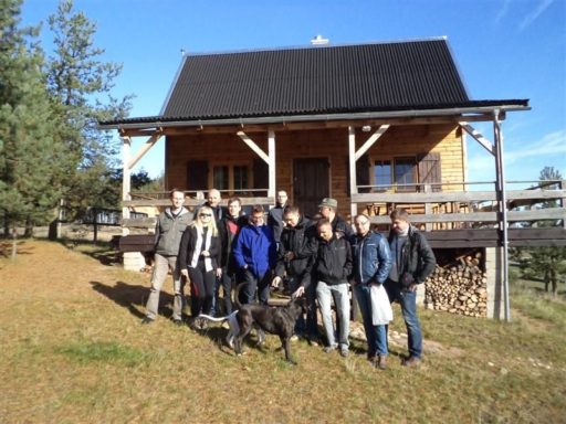 Grzybobranie 2011
