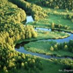 Supienie nad Jeziorem Rospuda 2004