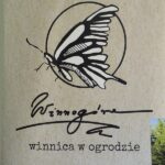 Winobranie 2020