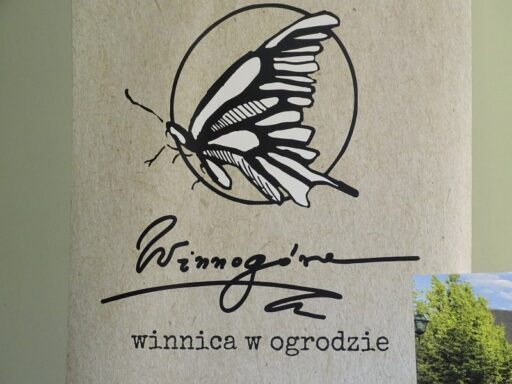 Winobranie 2020